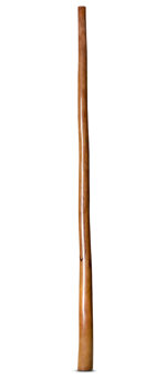 Marcos Ferrazza Didgeridoo (MF131)